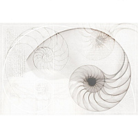 Панно Nautilus ракушка 40*60 см цвет многоцветный, Cersanit NT2F453