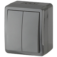 Выключатель ЭРА Эксперт серый 2-клавишный IP54 10AX-250B Б0020676 344298