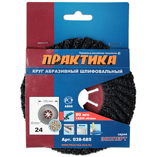Круг (диск) шлифовальный абразивный торцевый Практика 125*22мм Р 24 (038-685) купить