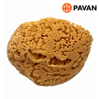 Губка морская натуральная большая Pavan 3120(S0112504)