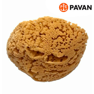 Губка морская натуральная большая Pavan 3120(S0112504) купить