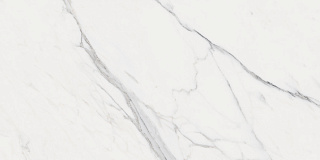Керамогранит Appolo White Carving матовый 60*120 купить