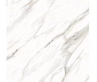 Керамогранит Ayton Brown polished  60*60см  Primavera PR128