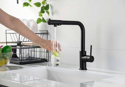 Смеситель ЕВРОПА для кухни с подключением к фильтру  черный матовый Aquatek AQ1386MB купить