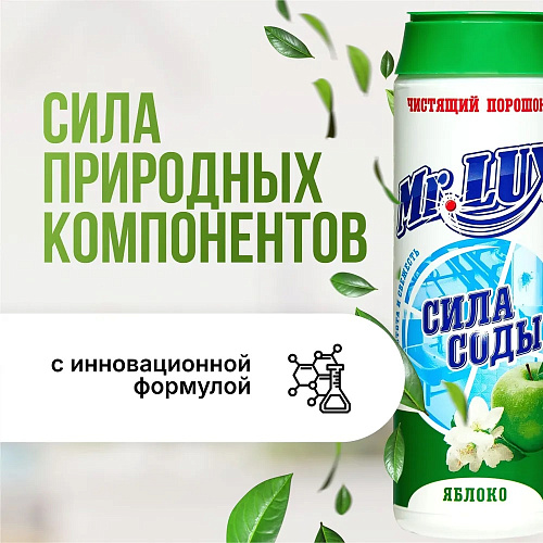 Чистящий порошок  Mr.LUXE 480г Яблоко купить