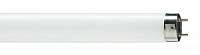 Люминесцентная лампа Philips TL-D 36W/54 