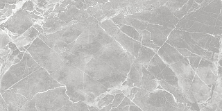 Керамогранит Pride_GT серый 30*60см  Global Tile 6260-0213 купить