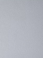 Обои виниловые на флизелиновой основе Antivandal COLOR 1.06*10м NC 4060-020