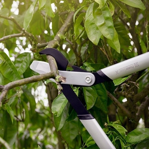Сучкорез плоскостной LX 92 малый Fiskars 1020186 купить